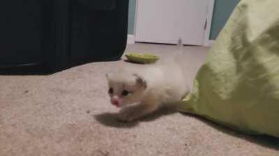 Foster criminal's first steps. Now serving a lifetime sentence with a justice minded family.