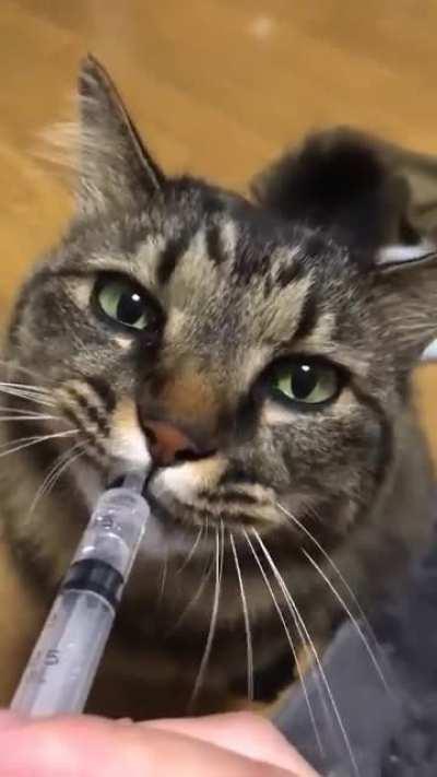 My owner knowingly gave me what I thought was drugs. Can I sue, even if it was just water?