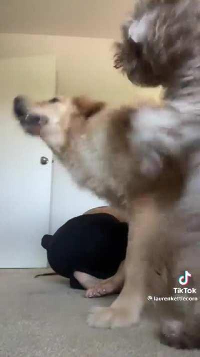 Lauren Kettering soles 