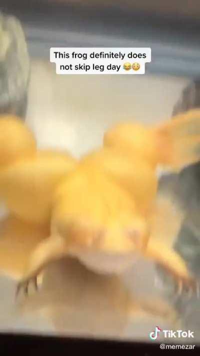 Watch frog die inside.