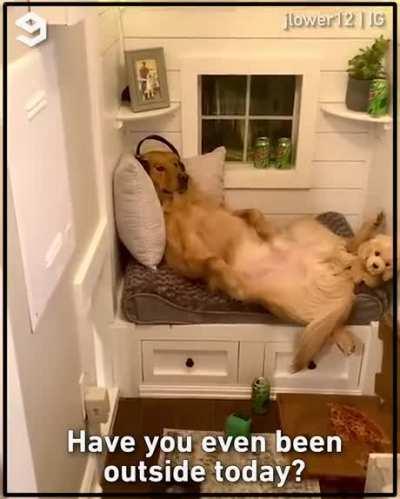 Living his best life