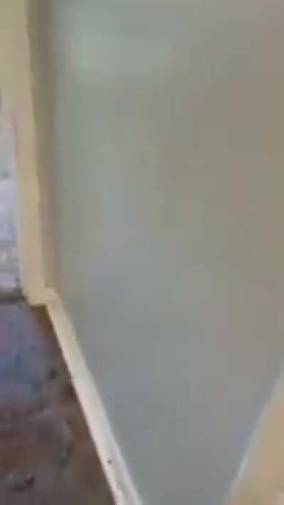 I can understand why this guy won't allow dogs in his rentals anymore.