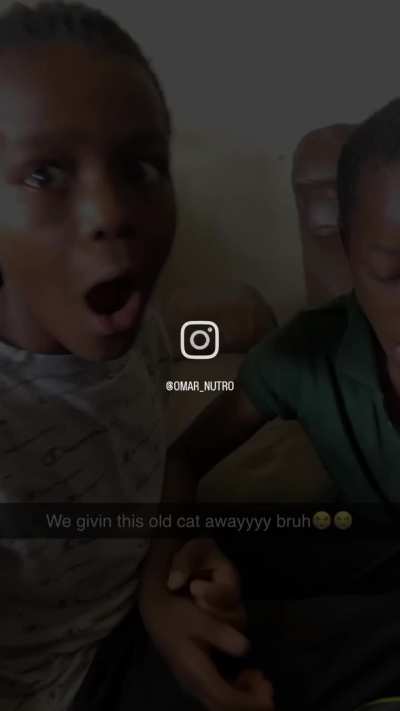 ILHADOKONG - Video #1202