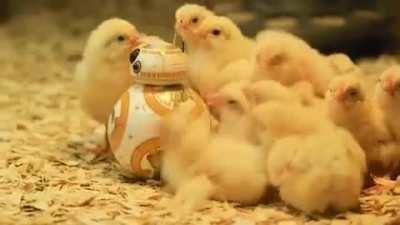 This adorable BB-8 droid