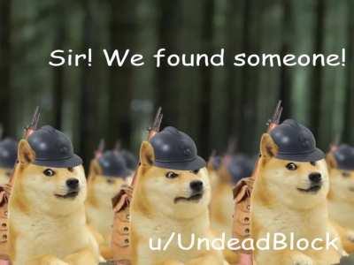 le french in WW1 has arrived