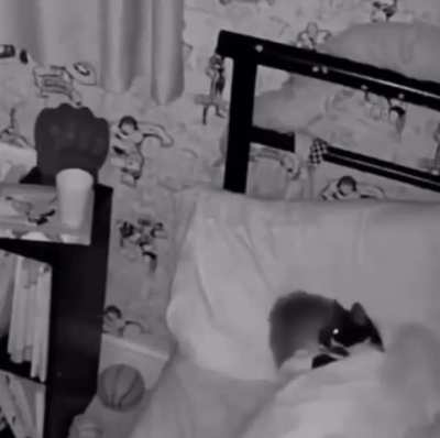 The owners couldn't figure out why the cat wasn't sleeping in it's own bed.... until they saw this
