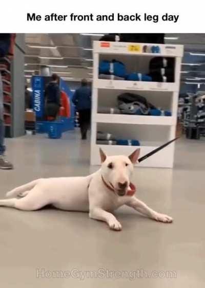 Me after front and back leg day