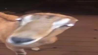 Receive You goes with everything