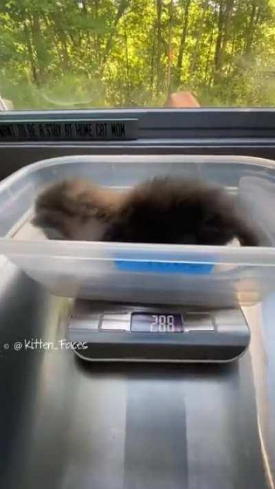 criminal is released only to unlawfully mlerm