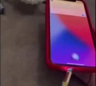 can I use digital BONK