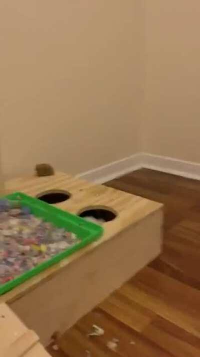 Nymeria pops out to wish everyone a happy Easter