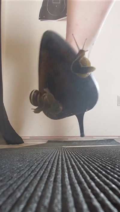 full video (32s, unedited) is for sale (dm) 👠