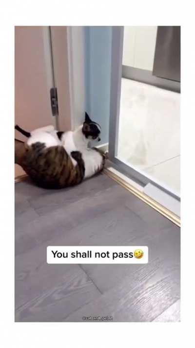 You shall not pass!