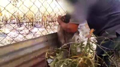 'Don't call it a comeback!.. We've been defending our people against the IOF's Genocidal shit for years... ' [Featuring DJ Al Al Qool Xay] -- You're the original Gangster's, but we are the 'real' O.G...