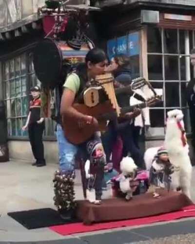 Street Artist pro skills