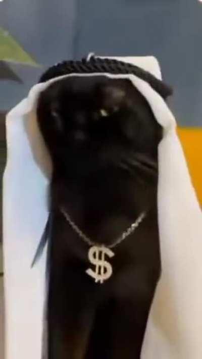 Tough life to be rich! 