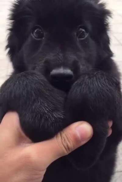 I don't care what he wants. Just give it to him.