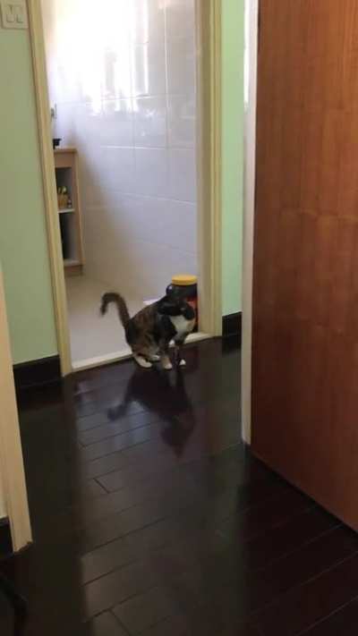 What’s wrong with my cat?!!