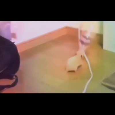 No se que ise con el otro video igual a este pero aquí esta de nuevo