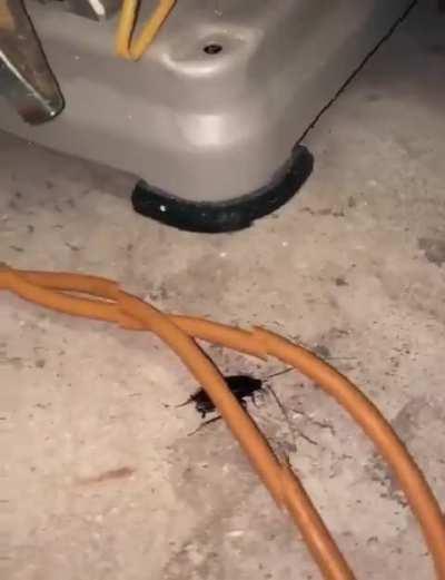 My apprentice sent me this I am proud of them it’s their first spell