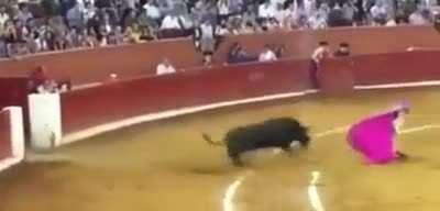 HMFT after this bull yeets me into oblivion