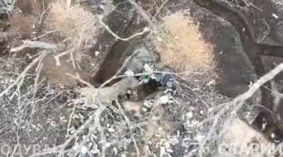 A russian tries to catch up with a grenade that was dropped into his shelter from a drone, diving headlong after it.
Manticora unmanned systems battalion of the 155th separate mechanized brigade.