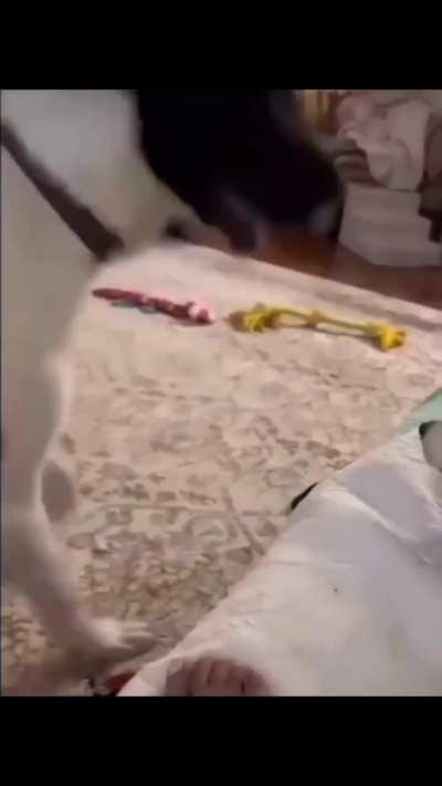 He did say move though 