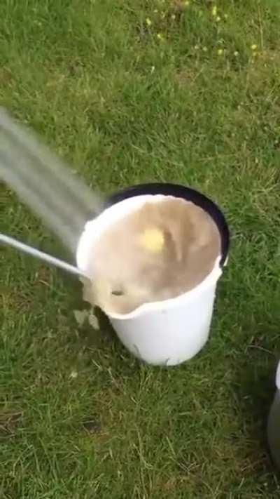 Never seen this one before