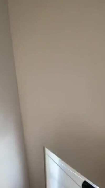 A little something for the culture...