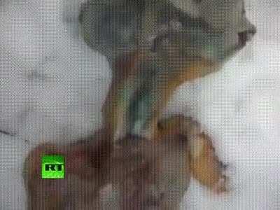 No matter what the media says, this was real