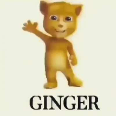 el ginger