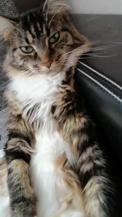 Professional sitting expert