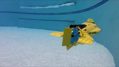 So I built a functional Cyclops Submarine