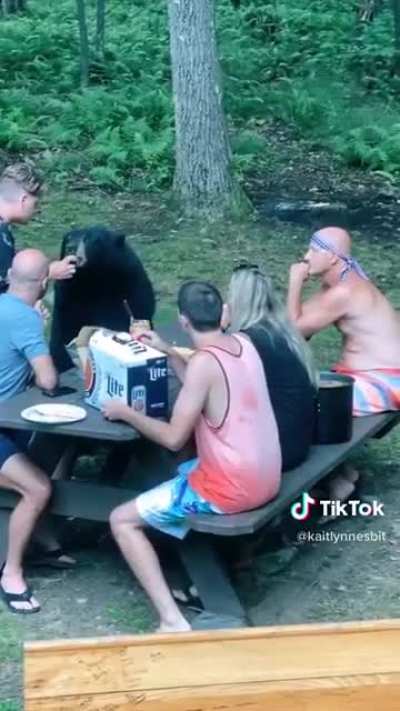 Reminder to not feed wild bears bc they might try to approach more human and become a threat to public safety