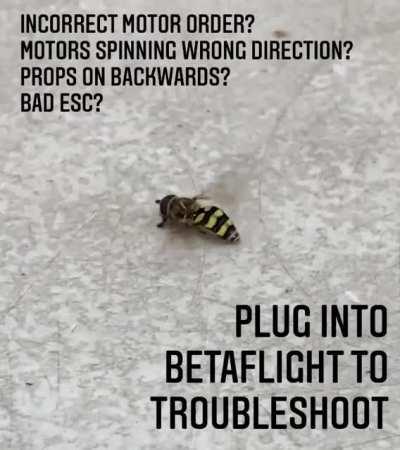 New build but have problems.