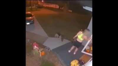 Excited dog + moment if inattention = I’m Flying Mom!