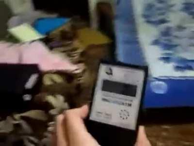 Radiation is not real, what to do now?