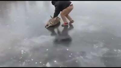 Evil man laughs as he prepares field for deer-curling