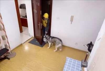 And then there were two...