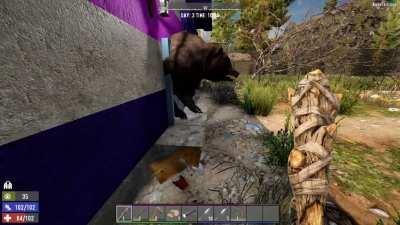 New player here.....the zombie bears are something fucking else is this game.