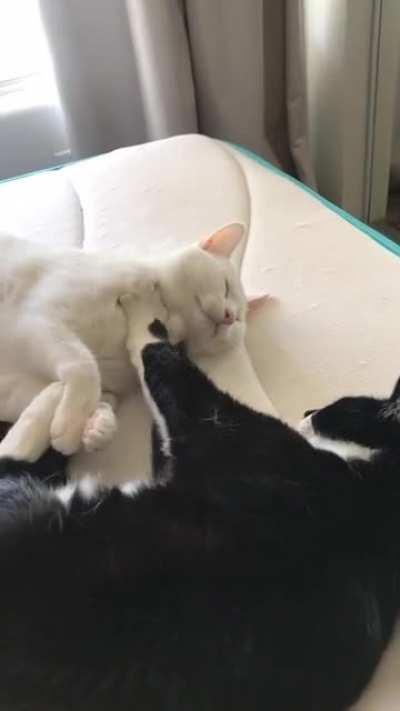 Nothing like a good ol’ throat massage