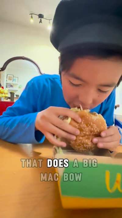 Mcdonalds chicken Big Mac Canada is it good ? And what are other quality Big Mac influenced alternatives? Did you try it?