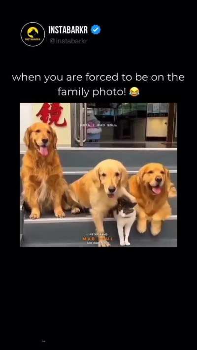 When you are forced to be on the family photo.