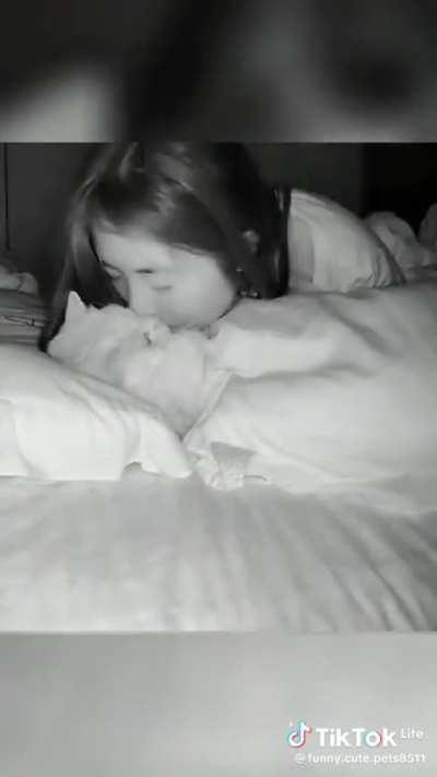 A pallet cleanser for Jeannie 