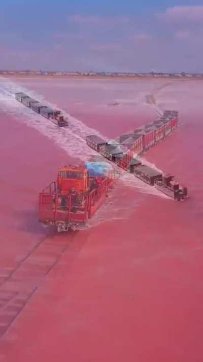 Lake Burlinskoye is a pink lake in Siberia and a train runs through it..