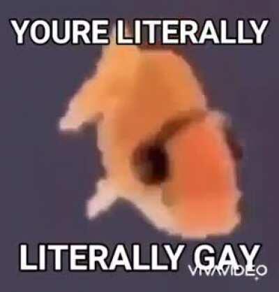 haha gay fish