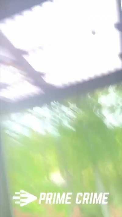 Murderous determination to overcome any obstacle