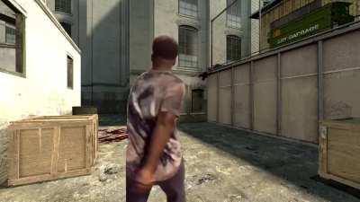 The Half-Life 2 Experience [OC]