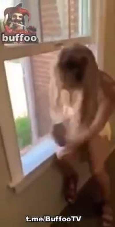 Let me remove this mosquitoes net!!!!