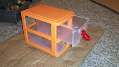 My incredible pet rat Cookie doing her fetch from a drawer trick!